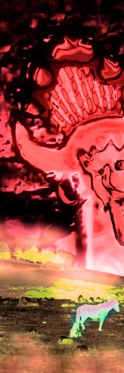 DONDE ESTÁ EL AMOR -prod - Fabv. Phollboy de phollboy